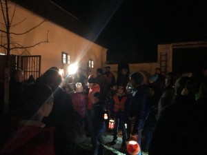 IMG 3531 (Large)