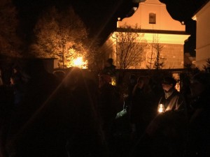 IMG 3532 (Large)
