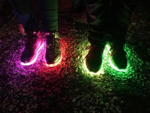 IMG 3543 (Large)