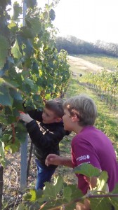 IMG 20170928 085821 (002) (Large)