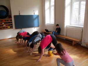 IMG 0286