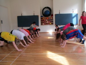 IMG 0291
