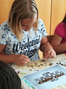 IMG 20180607 110741 (Large)