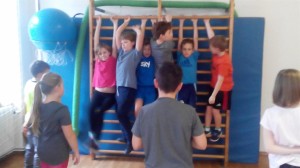 IMG 20180109 091847 (Large)