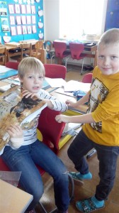 IMG 20180117 102659 (Large)